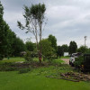 Tree Trimming, Shrub Pruning Paducah, KY Hicks Landscaping Services